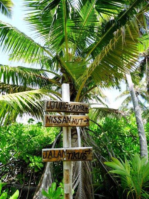 Some directions on Direction Island © World Cruising Club http://www.worldcruising.com